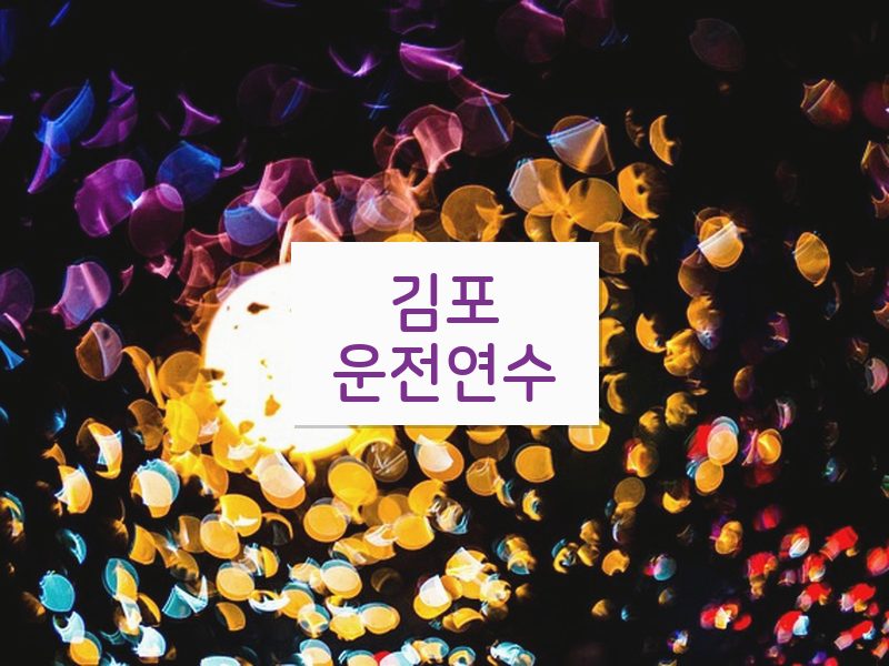 김포운전연수 후기