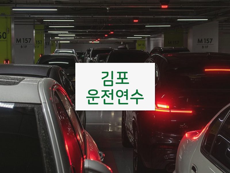 김포운전연수 후기