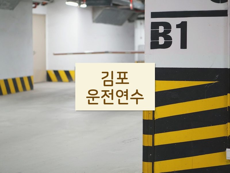 김포운전연수 후기