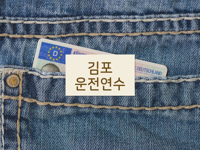김포운전연수 후기
