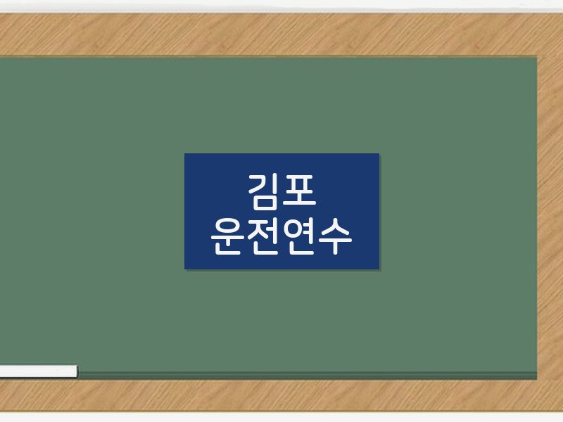 김포운전연수 후기
