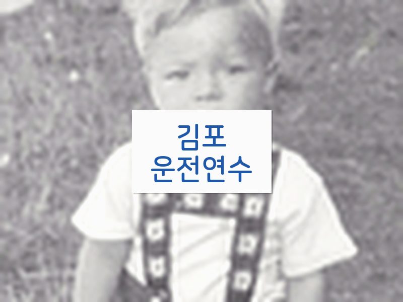 김포운전연수 후기