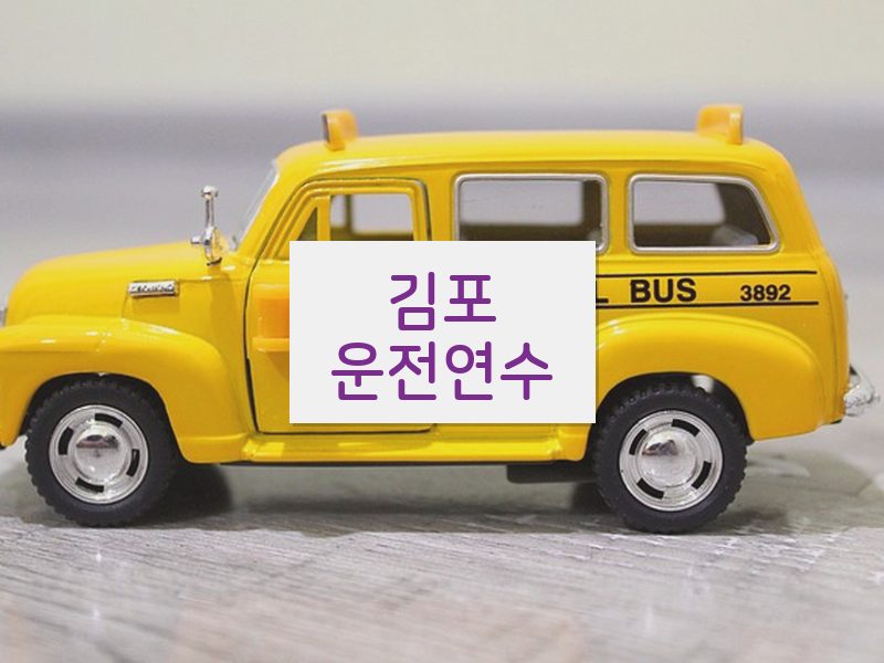 김포운전연수 후기