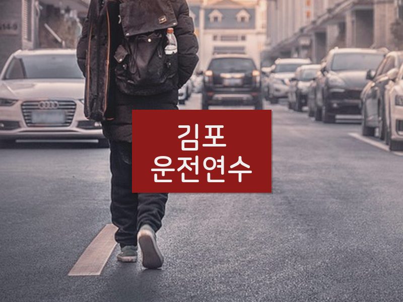 김포운전연수 후기