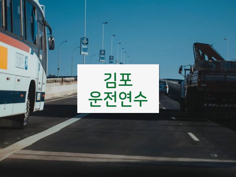 김포운전연수 후기