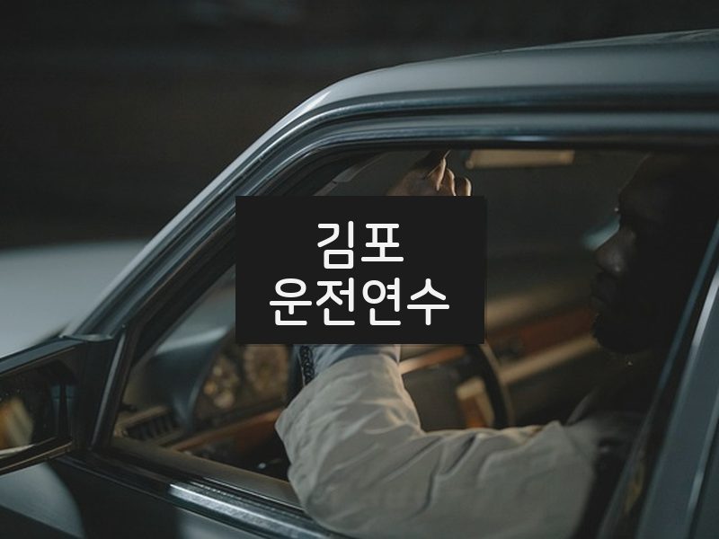 김포운전연수 후기