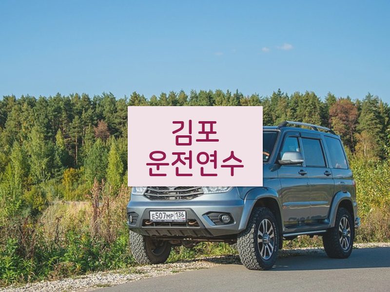 김포운전연수 후기