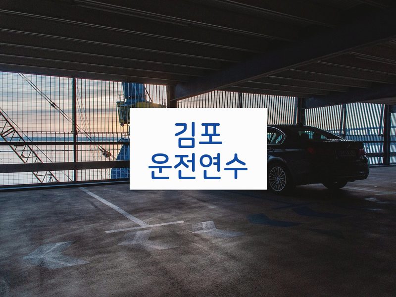 김포운전연수 후기
