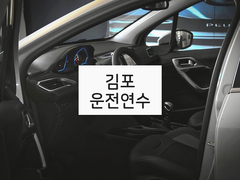 김포운전연수 후기