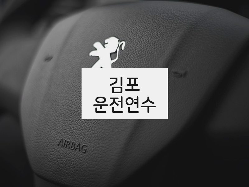 김포운전연수 후기