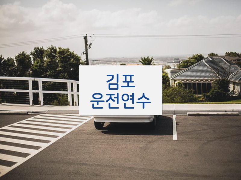 김포운전연수 후기