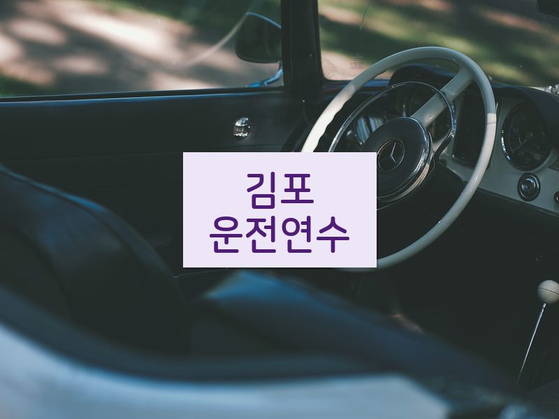 김포운전연수 후기