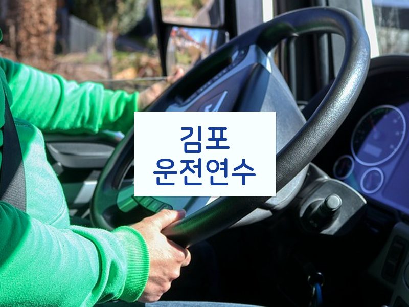 김포운전연수 후기