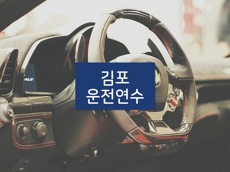 김포운전연수 후기
