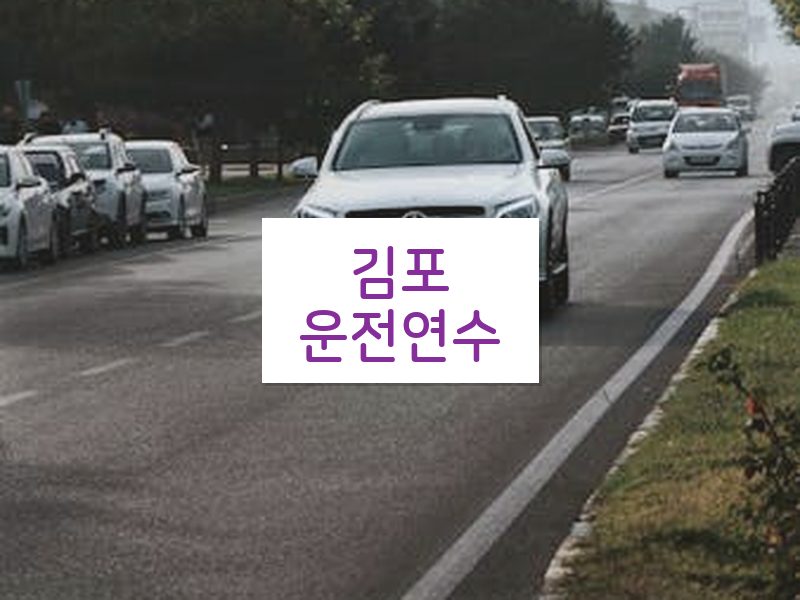 김포운전연수 후기