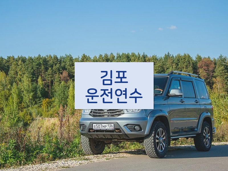 김포운전연수 후기