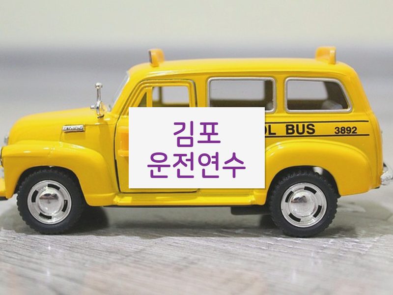 김포운전연수 후기