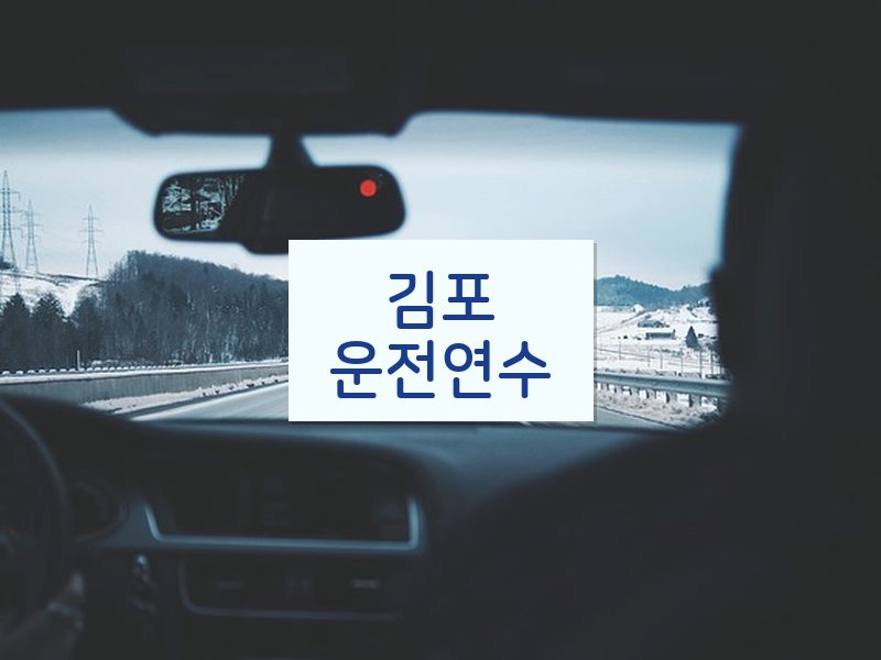 김포운전연수 후기