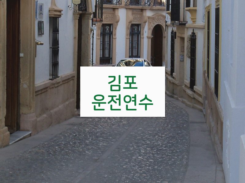 김포운전연수 후기