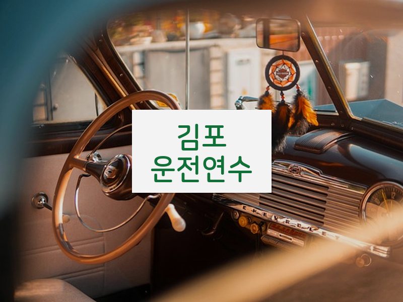 김포운전연수 후기