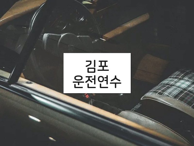 김포운전연수 후기