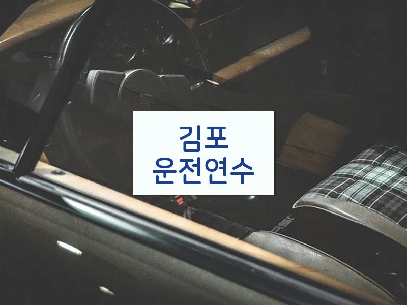 김포운전연수 후기