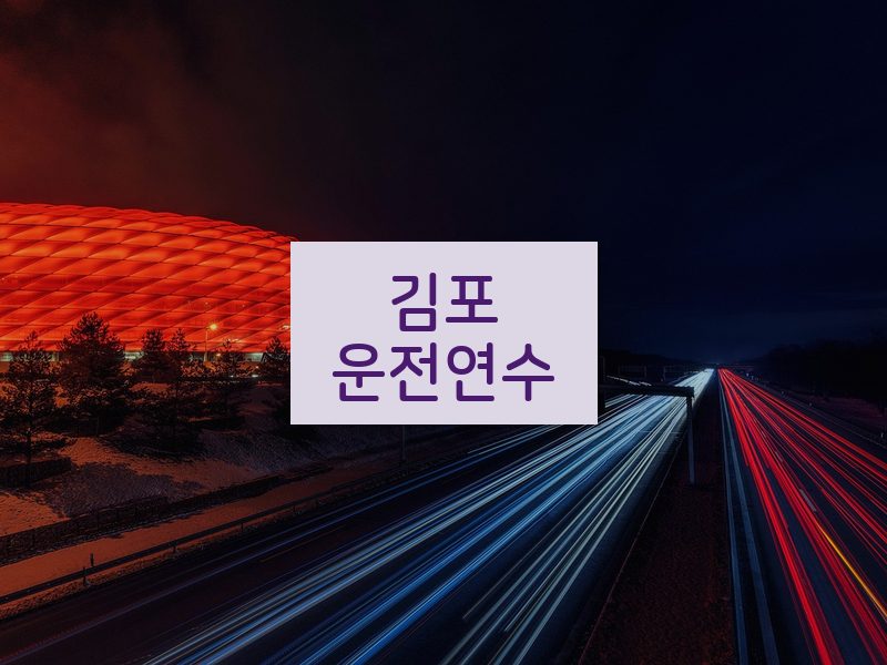 김포운전연수 후기