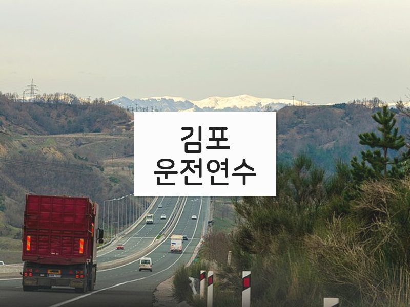 김포운전연수 후기