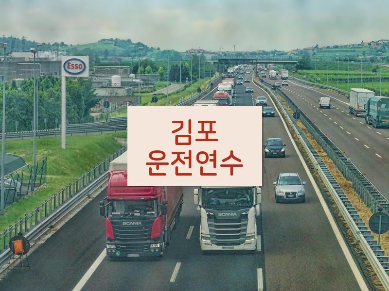 김포운전연수 후기