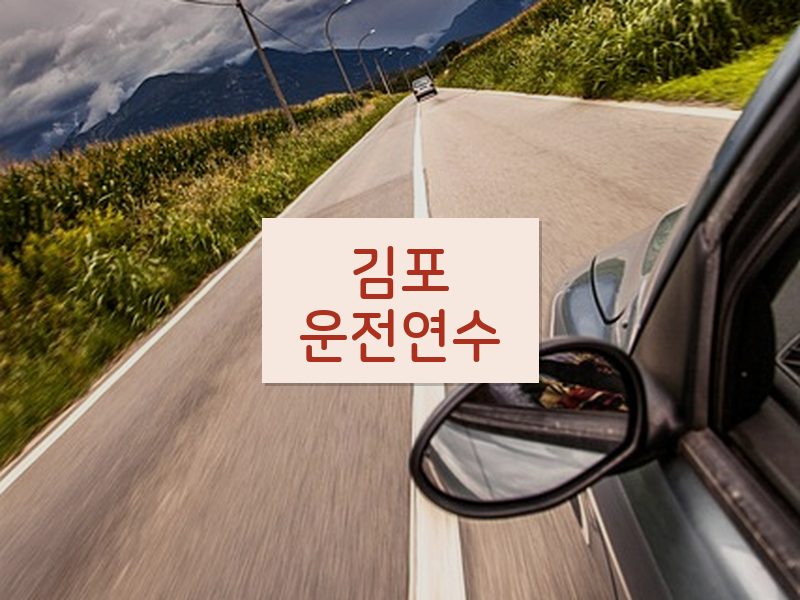 김포운전연수 후기