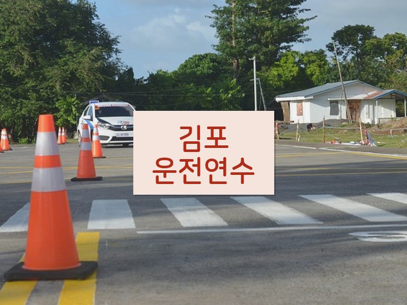 김포운전연수 후기