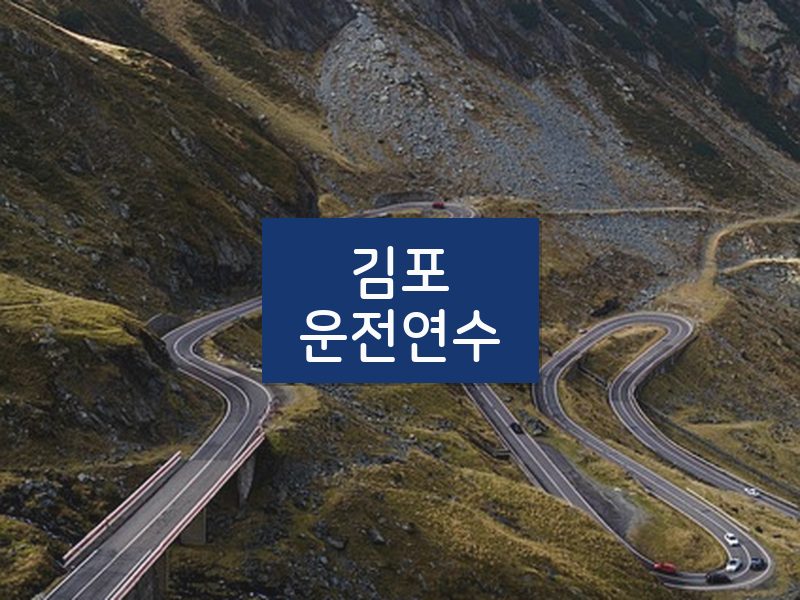 김포운전연수 후기