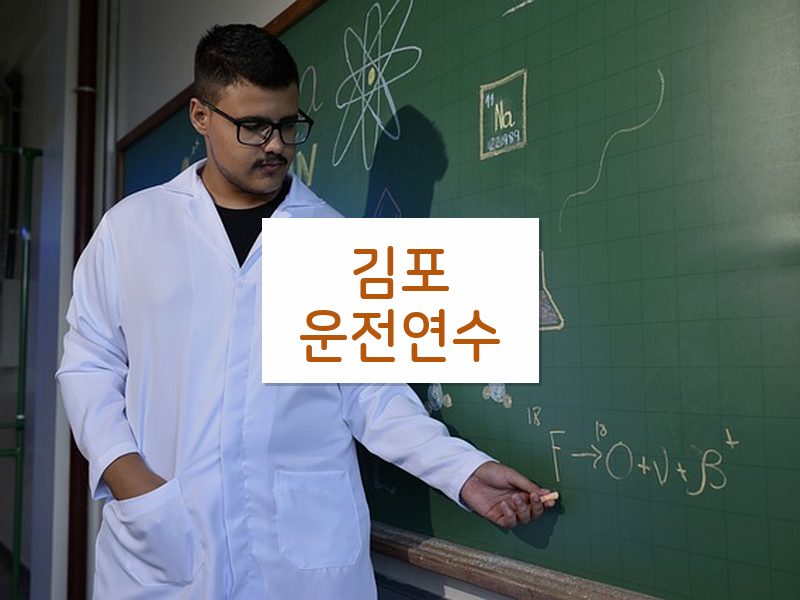 김포운전연수 후기
