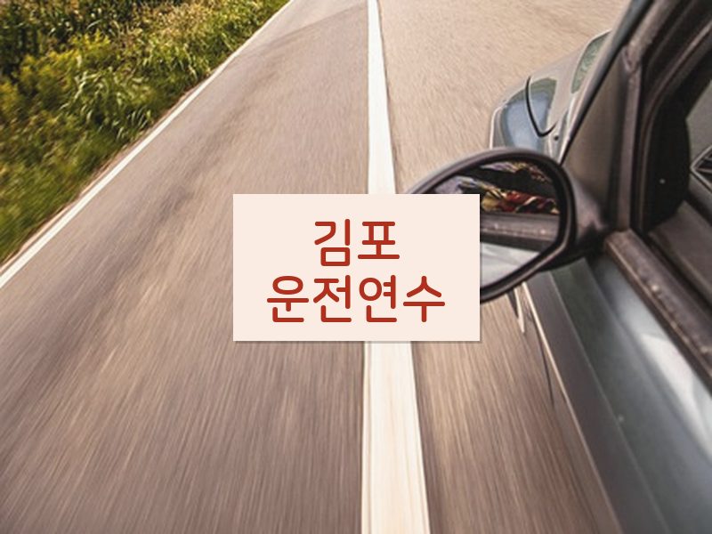 김포운전연수 후기