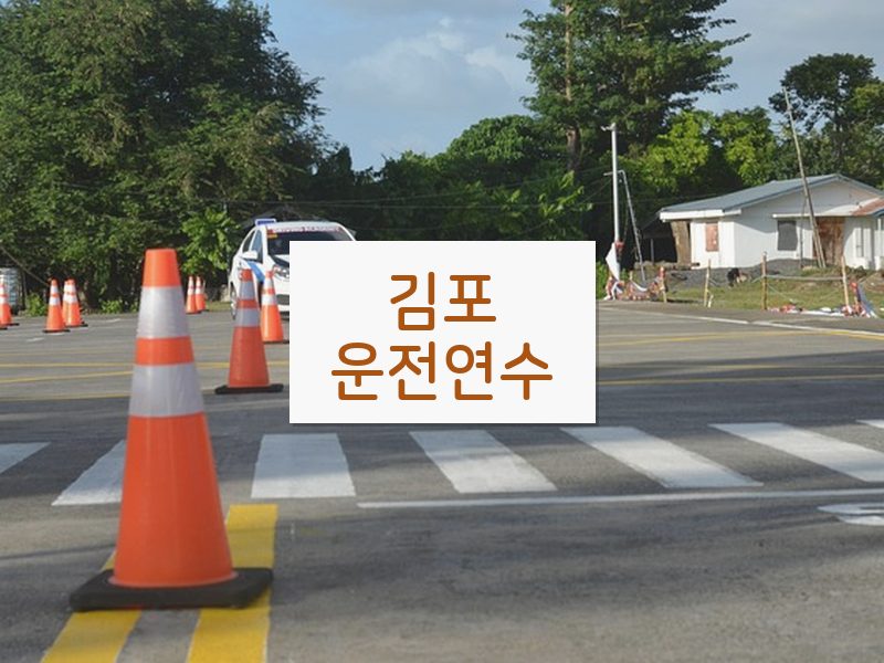 김포운전연수 후기