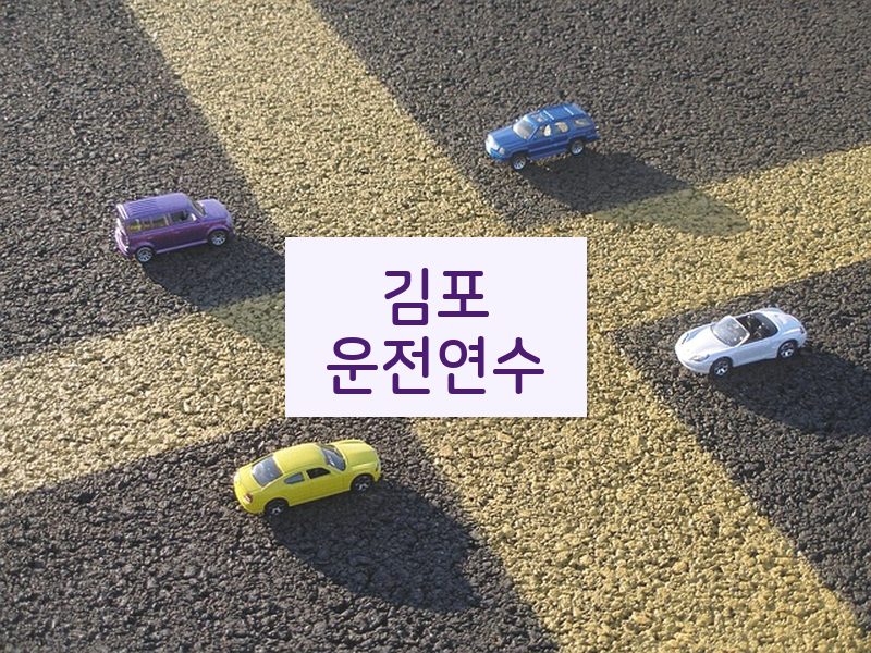김포운전연수 후기