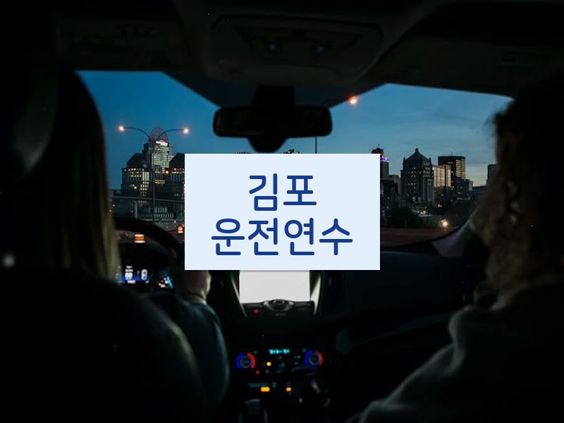 김포운전연수 후기