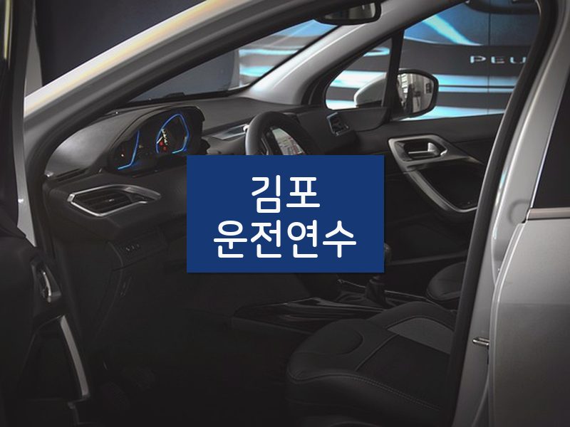 김포운전연수 후기