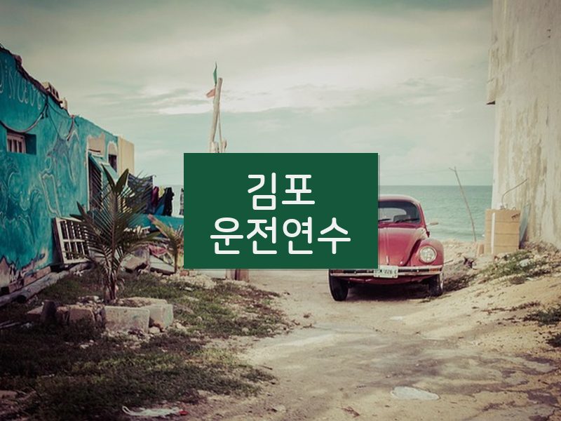 김포운전연수 후기