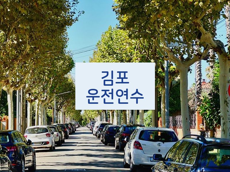김포운전연수 후기