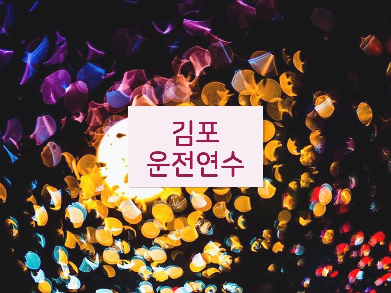 김포운전연수 후기