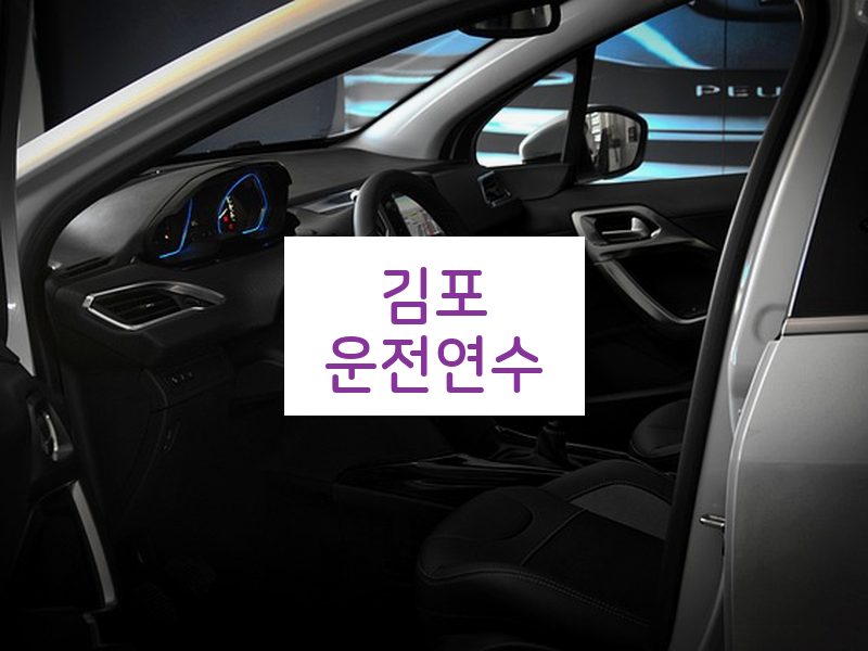 김포운전연수 후기
