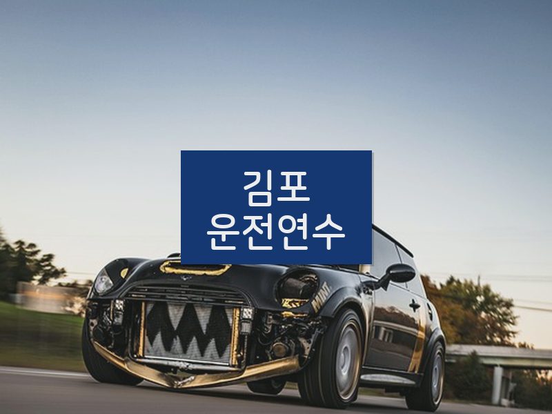 김포운전연수 후기