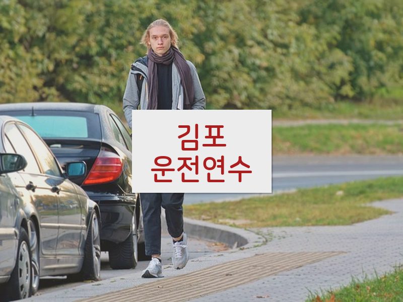 김포운전연수 후기