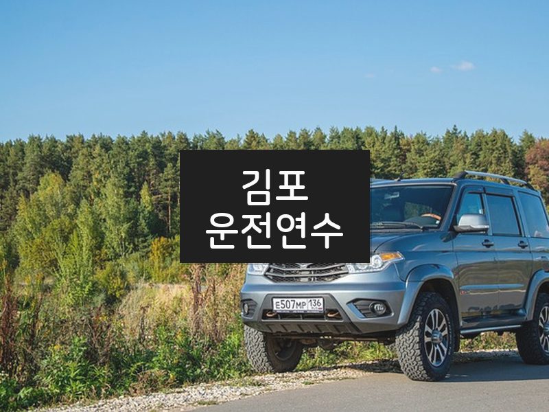 김포운전연수 후기