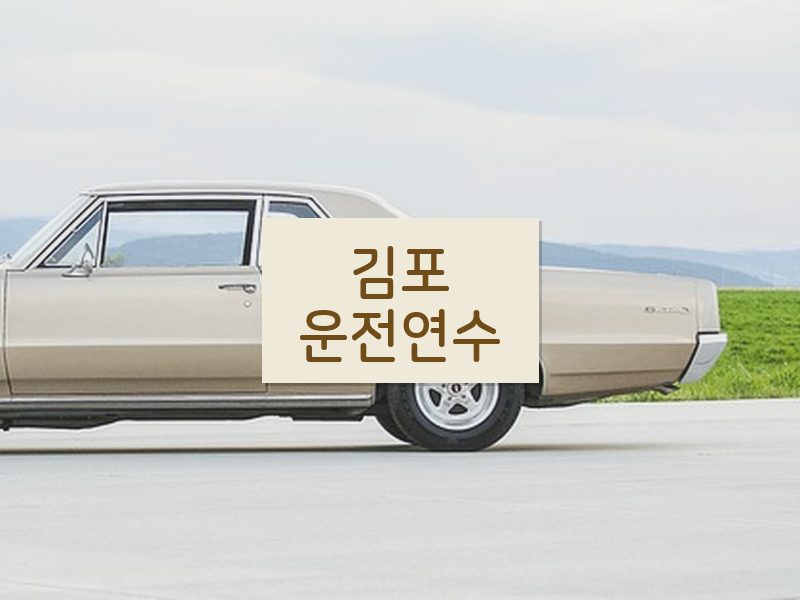 김포운전연수 후기