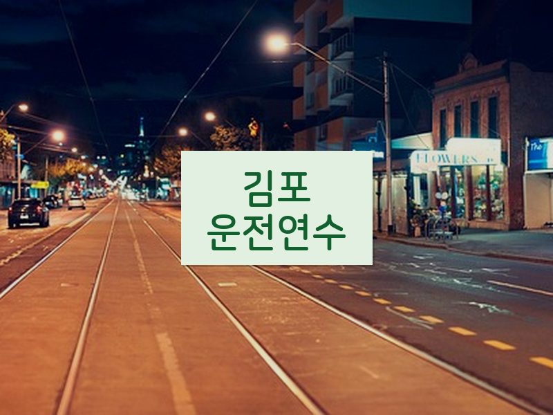 김포운전연수 후기
