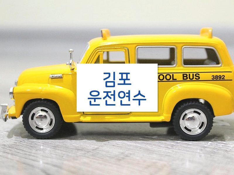 김포운전연수 후기