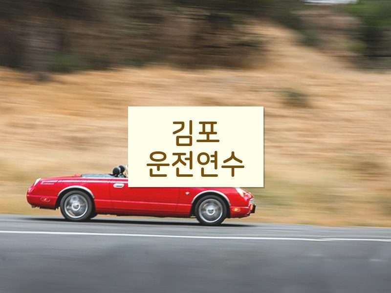 김포운전연수 후기