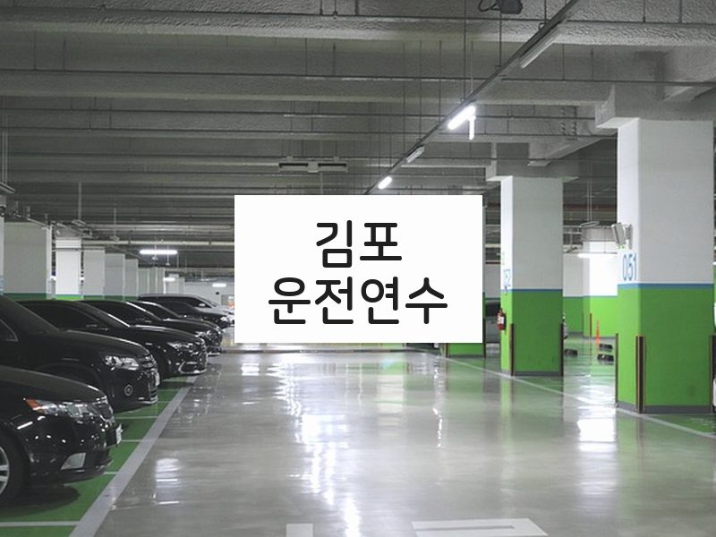 김포운전연수 후기